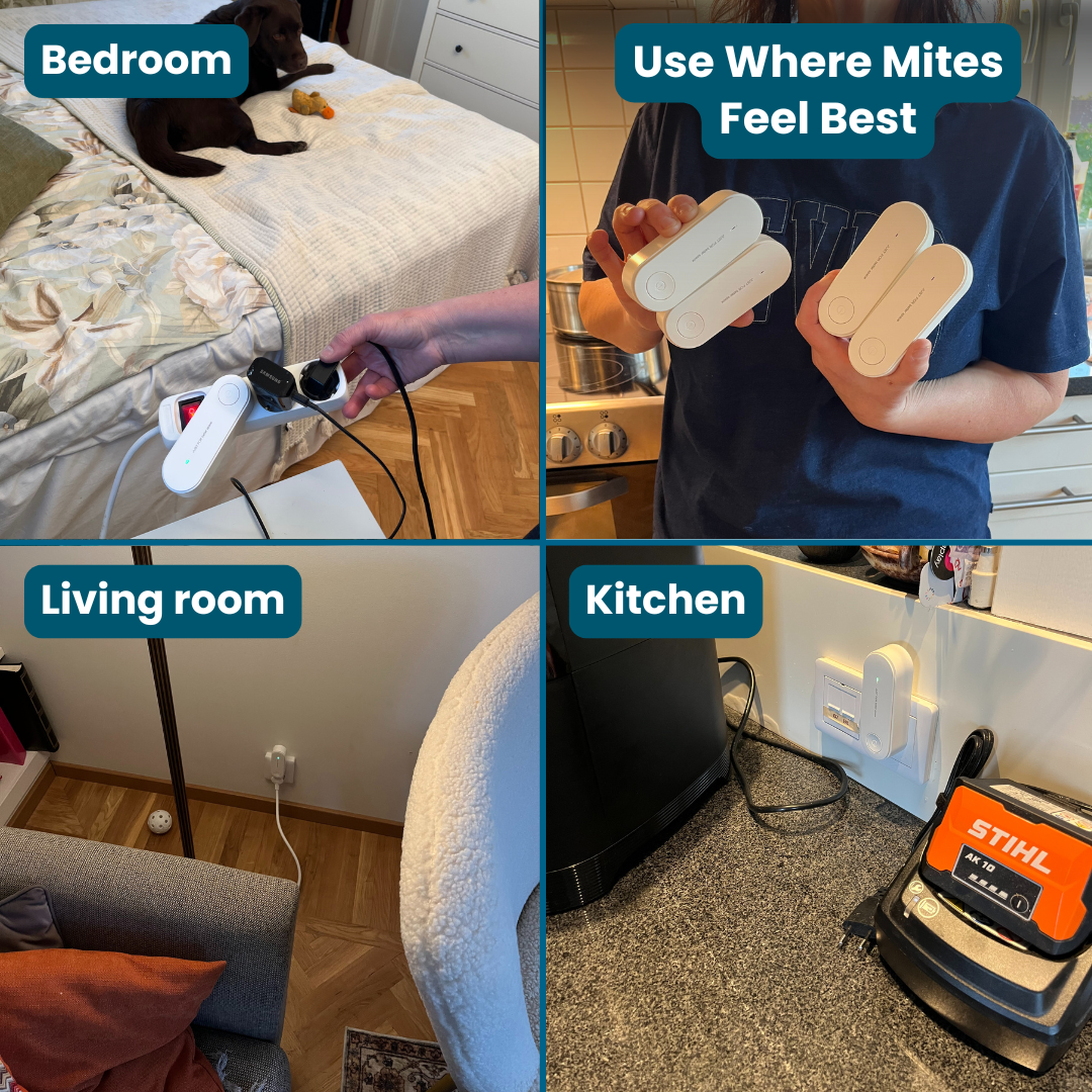 MiteMinder™ - Breathe Easier, Sleep Better